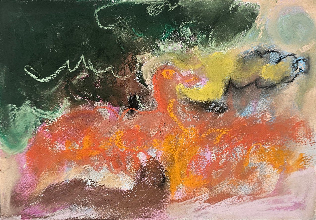 Bird of prey_soft pastel and charcoal on watercolour paper_LouisaChambers_small