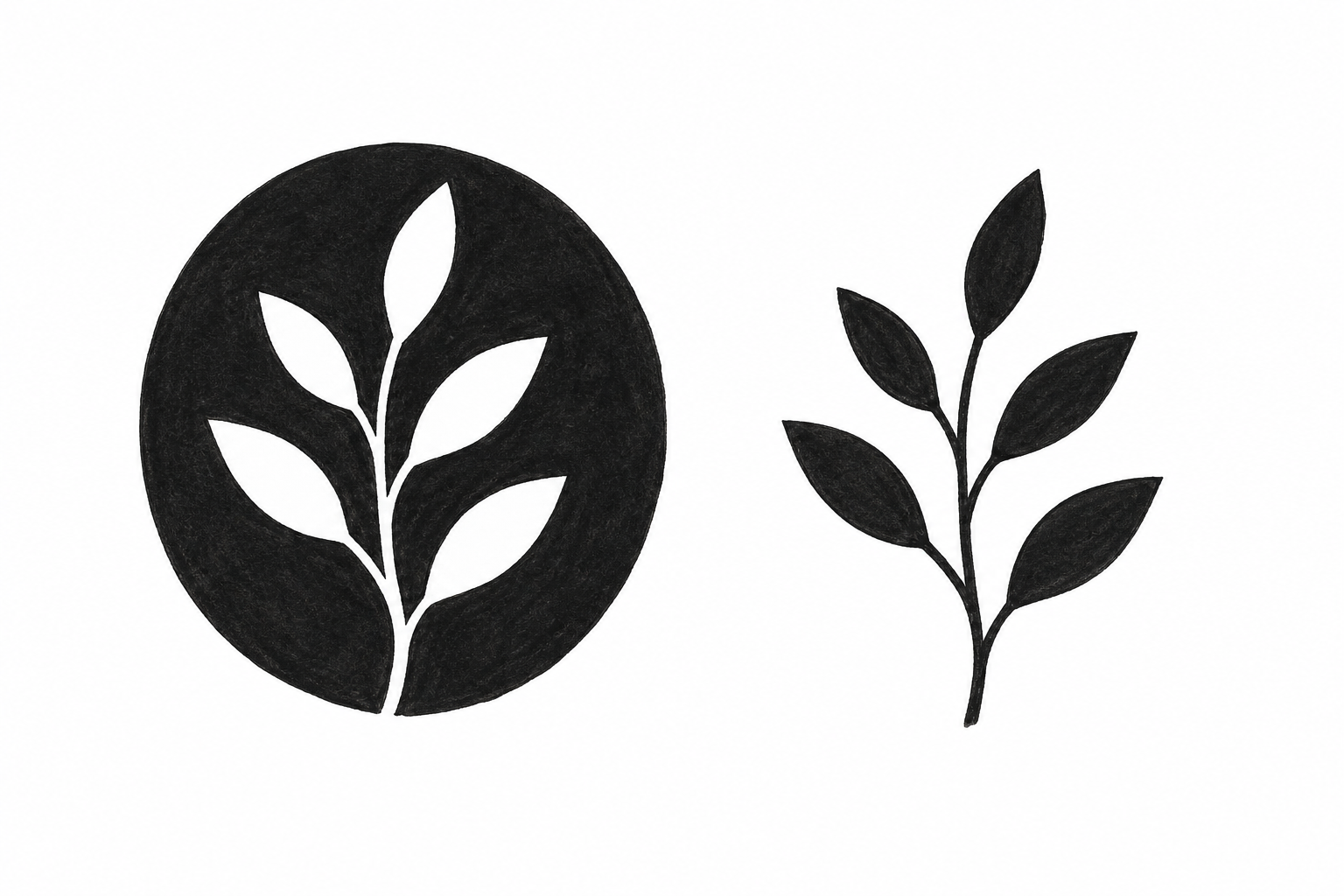 Dual Plant Drawings in Positive and Negative Space-1