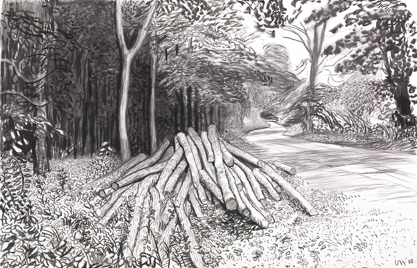 Drawing of cut logs in a pile in the woods