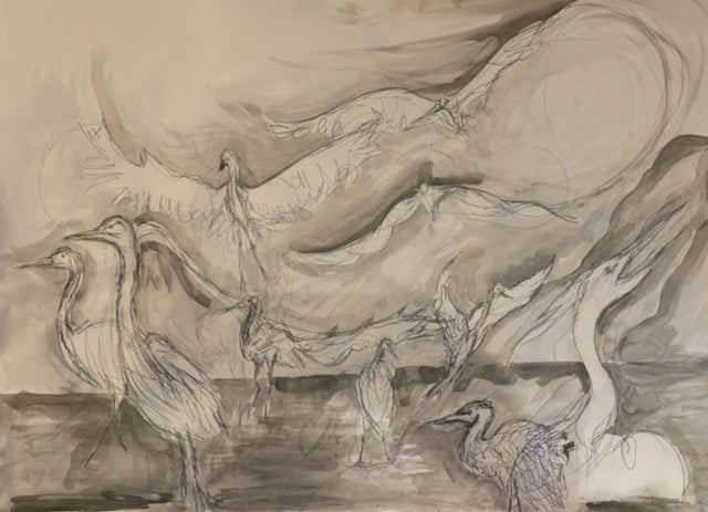 Herons