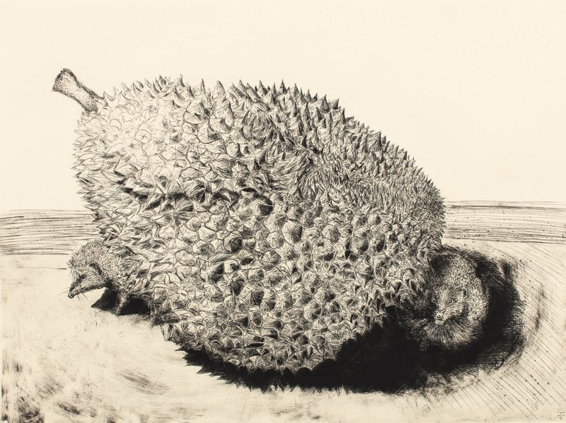 Jack_Fawdry_Tatham_The_Durian_and_H.focus-none.width-800