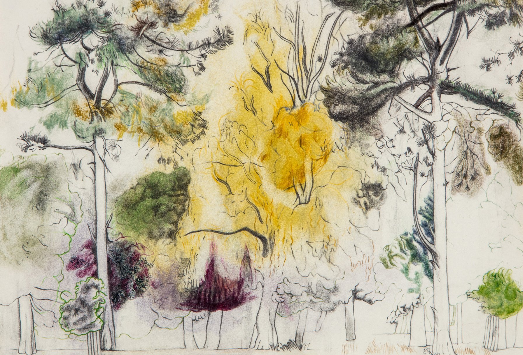 Cheri_Smith_BP_trees.original