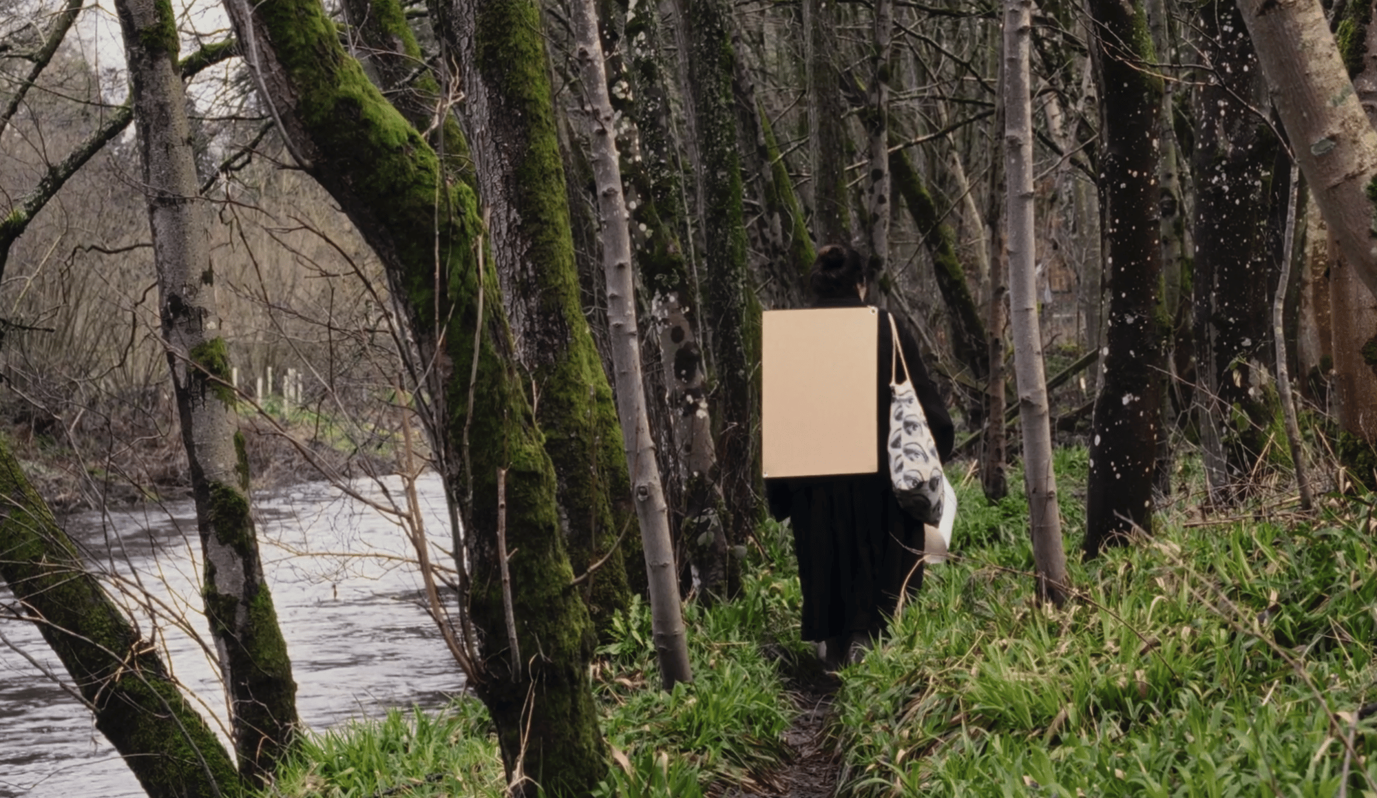 Nature in Flux Thumbnail