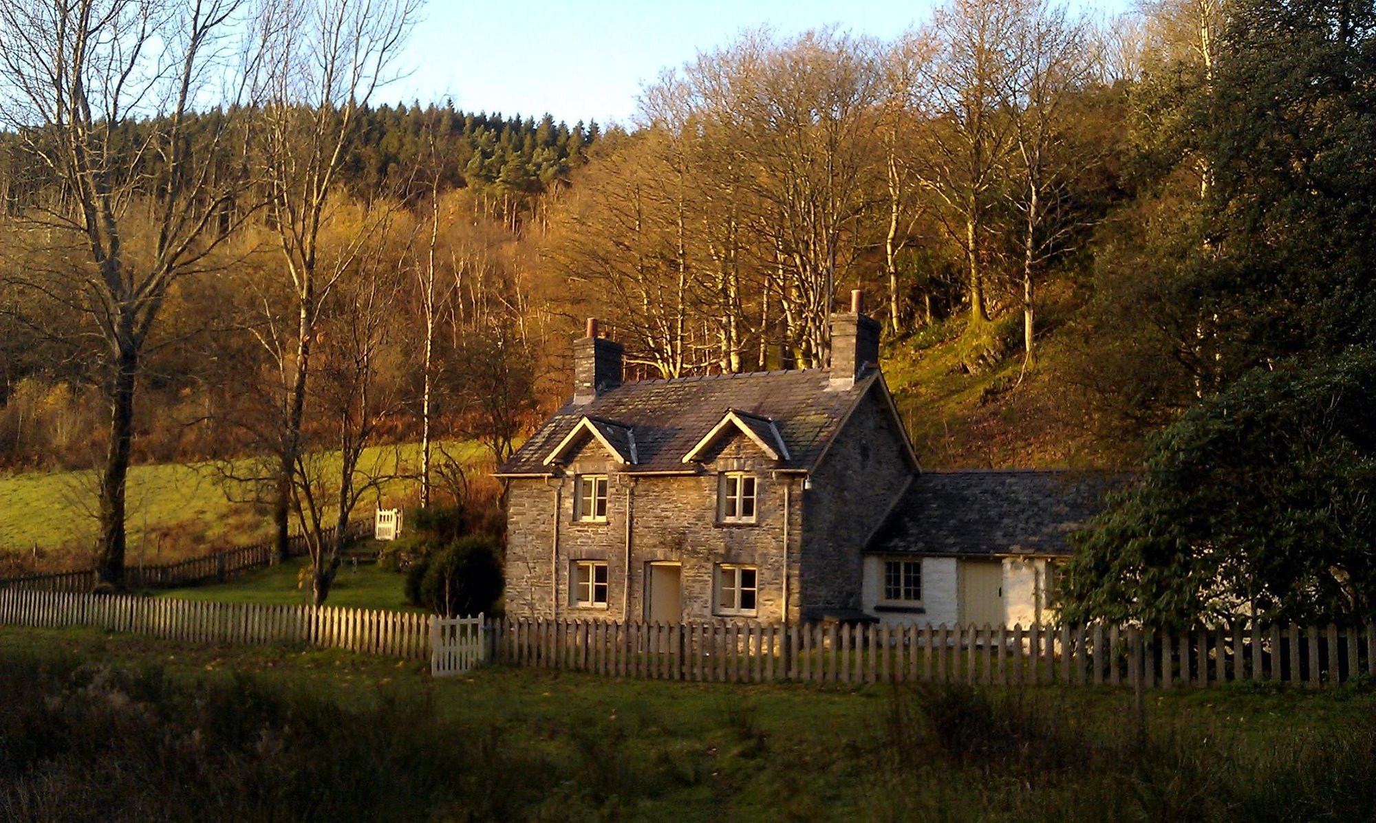Hafod residency