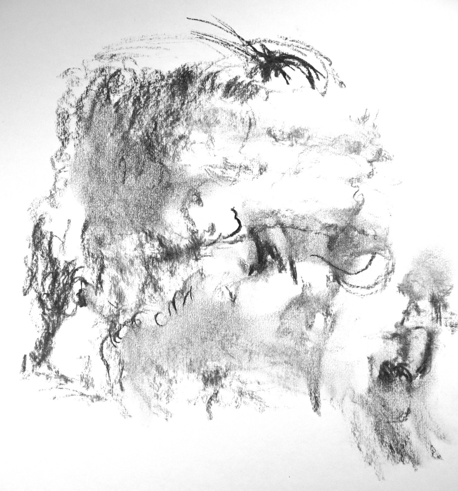 Untitled-308-1