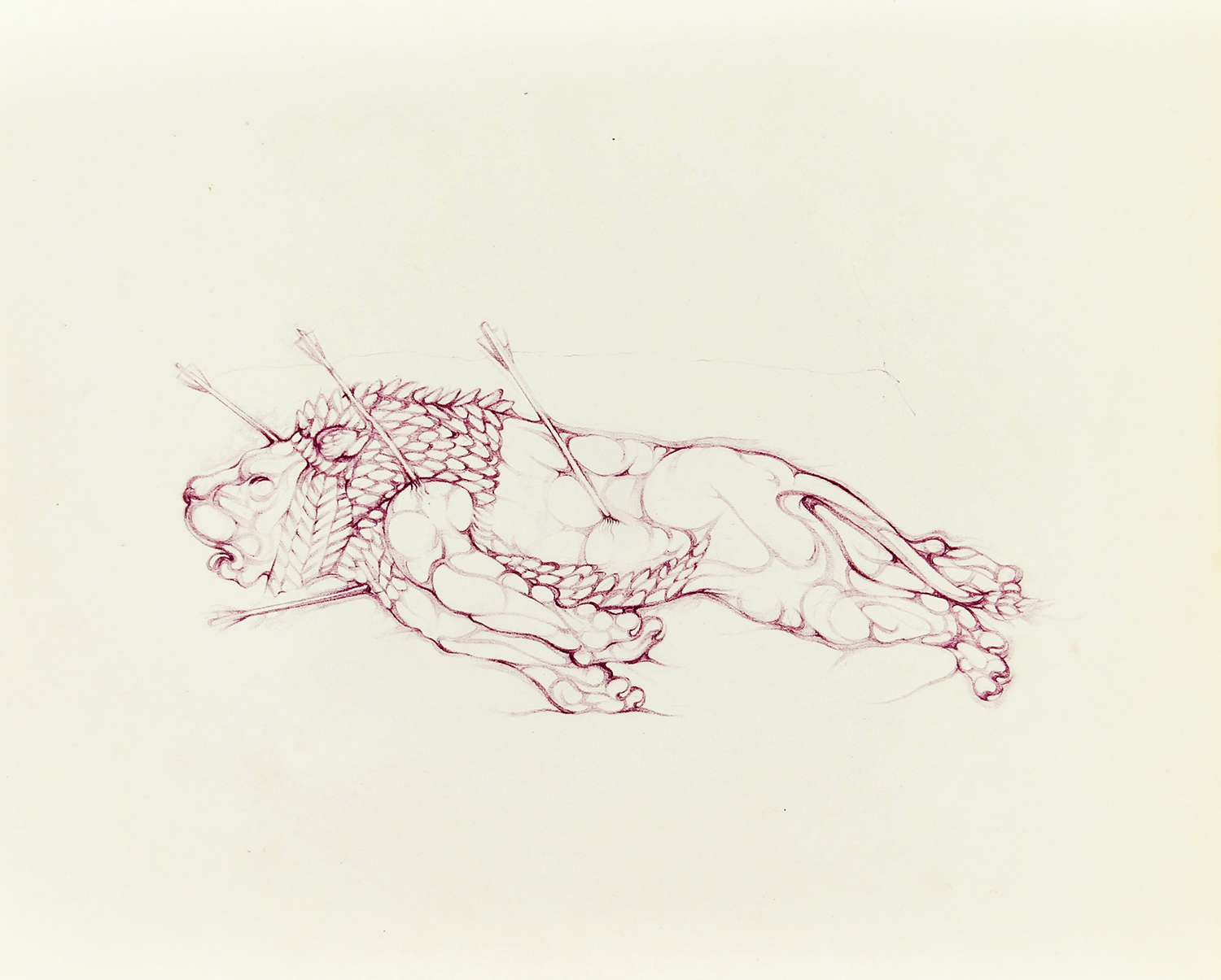 Study from The Royal Lion Hunt