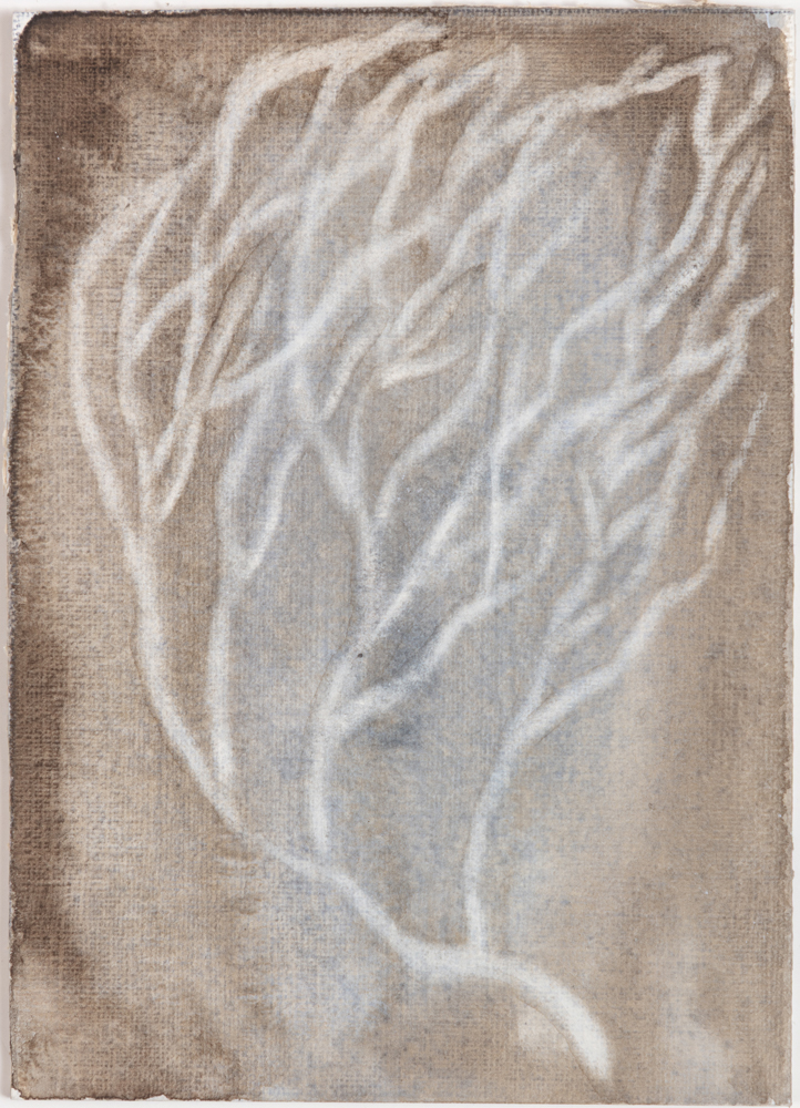 There is a tree in my garden that sees