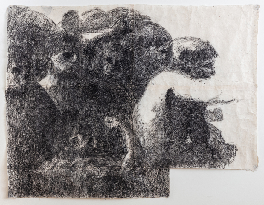 Evidence of a Disaster