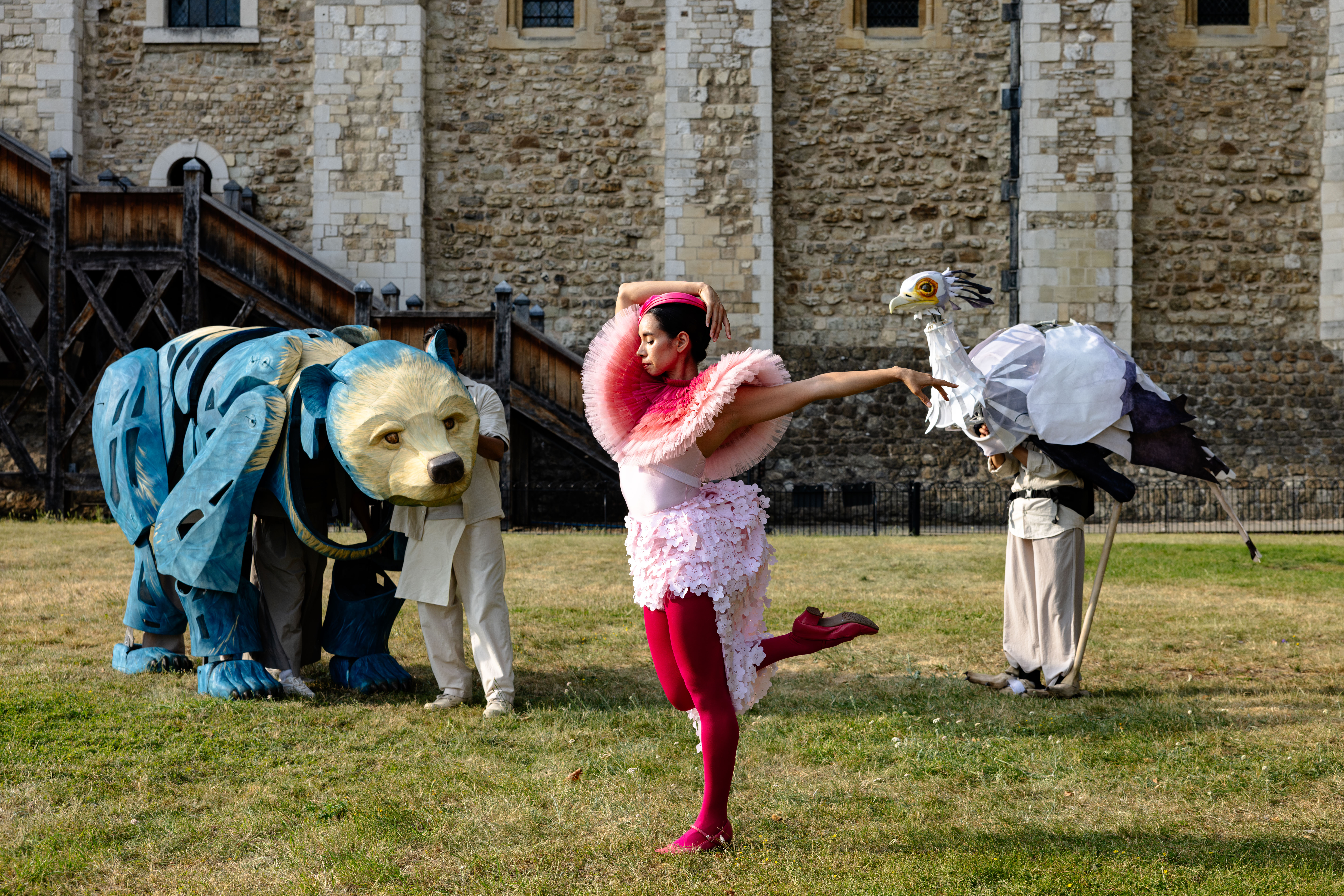 Imagining Animals | Royal Drawing School x Tower of London