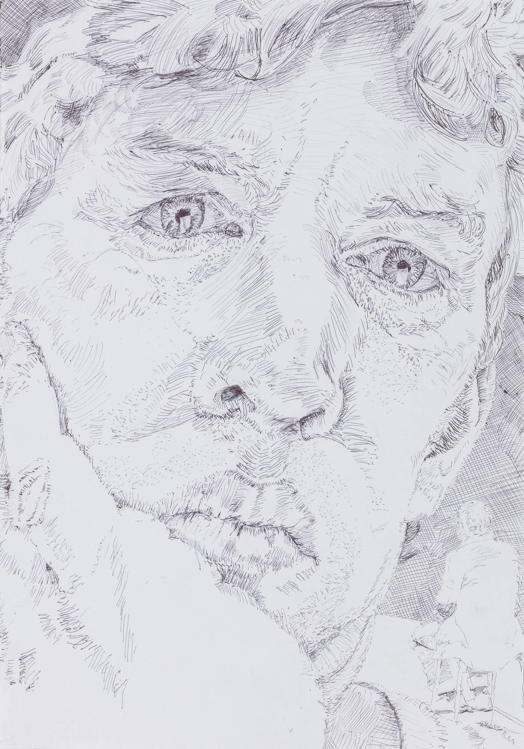 Howard_Eddie_5_SALONWALL