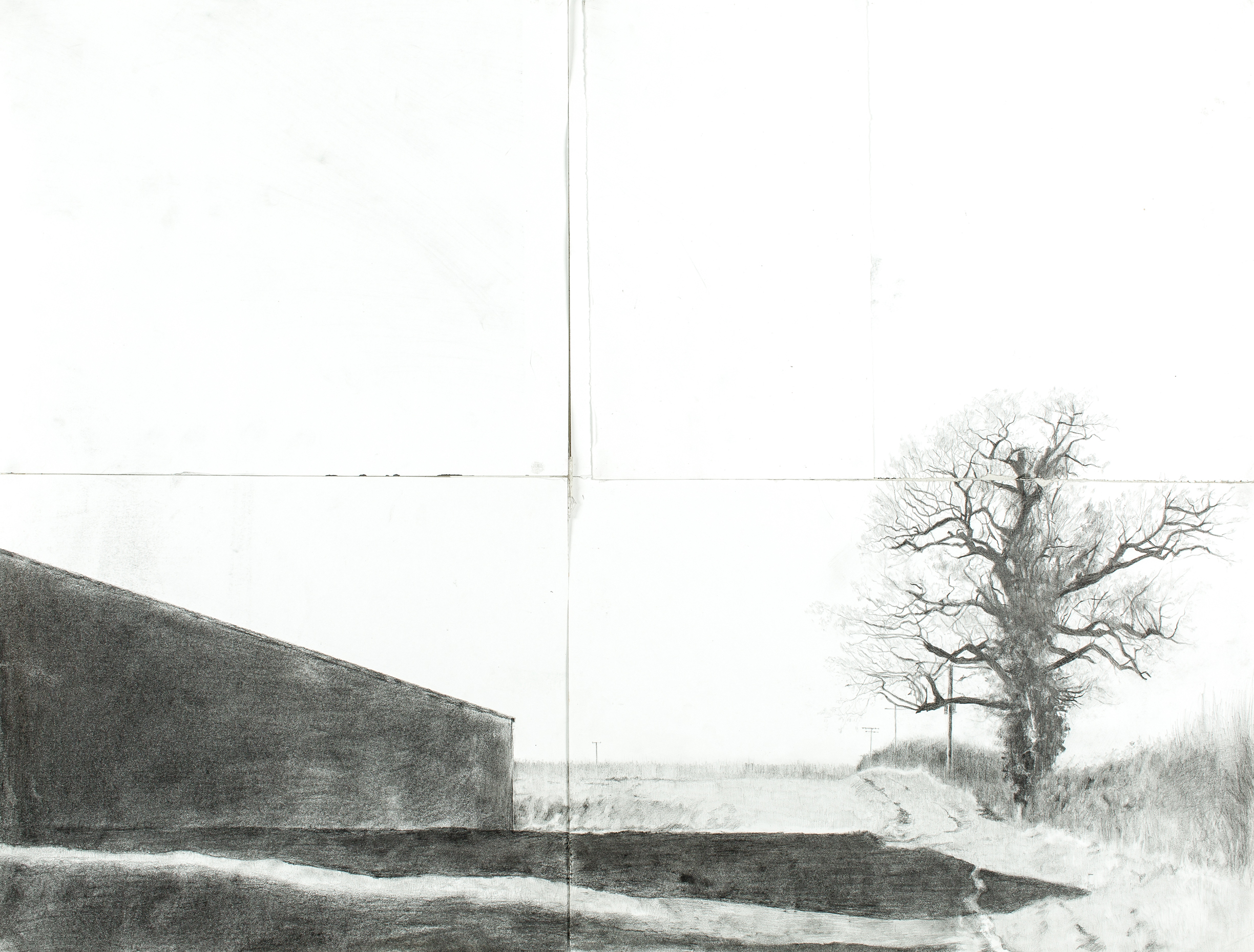 Johnson_Pollyanna-2_0842-Edit