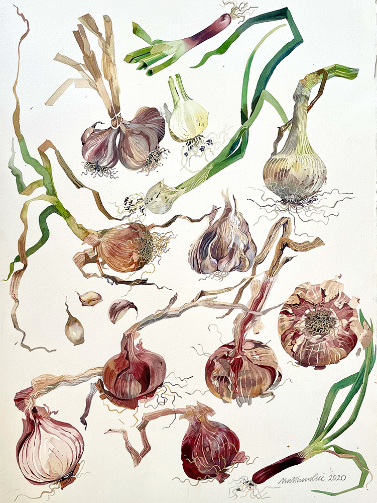 Onions