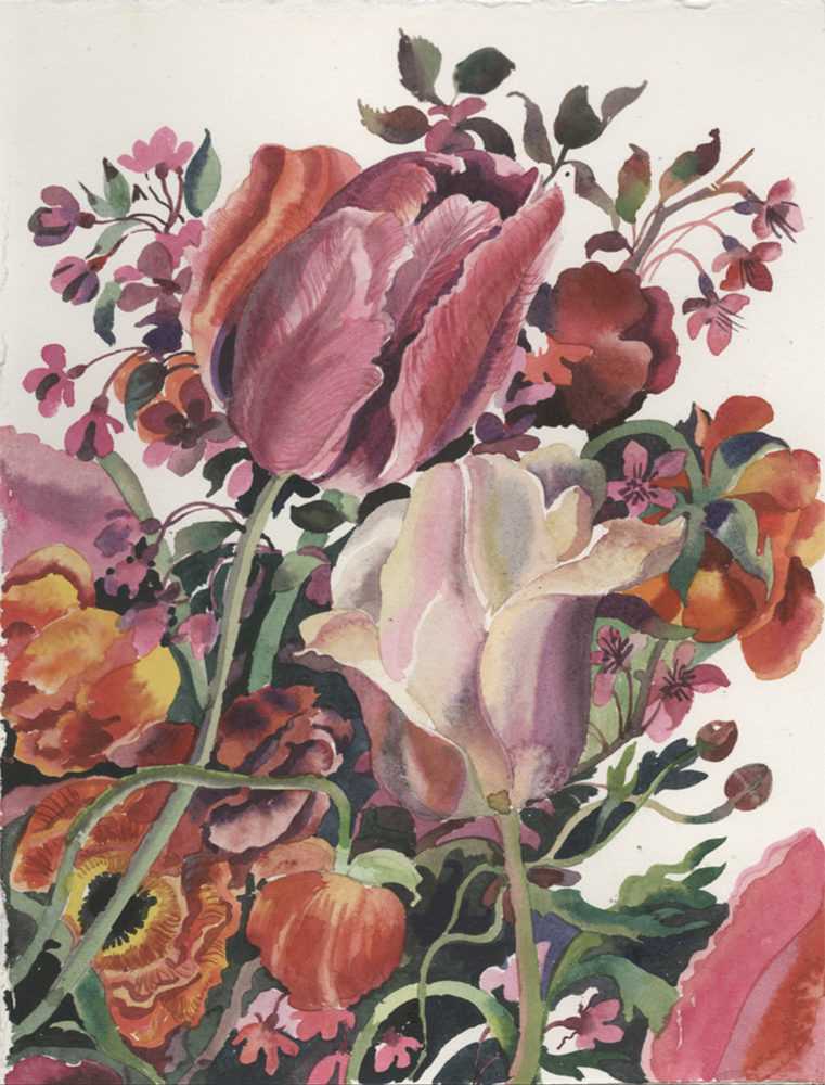 Tulips