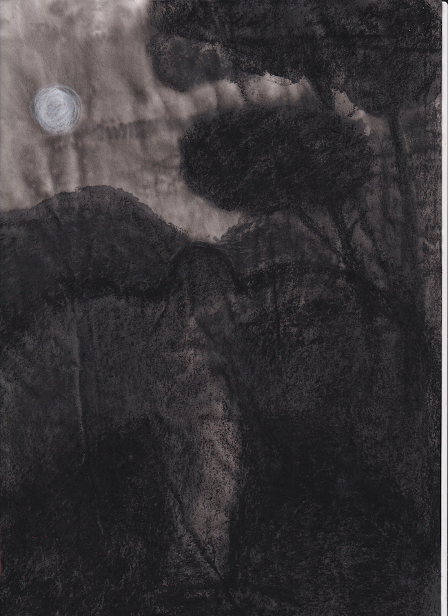 Searching for nightjars at dusk, ink and charcoal and compressed charcoal on Japanese paper, A4